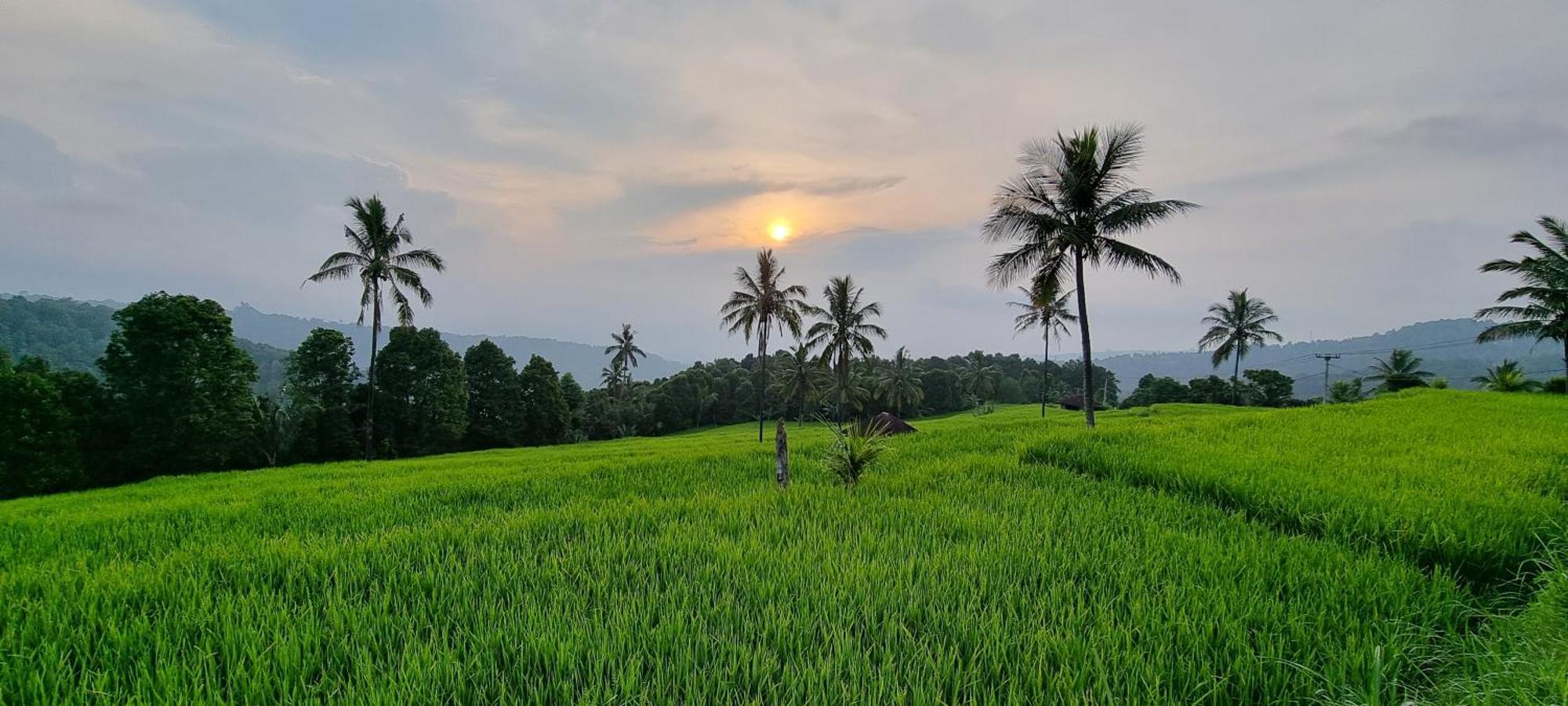Utopiaku - Munduk Highlands Villa Esterno foto