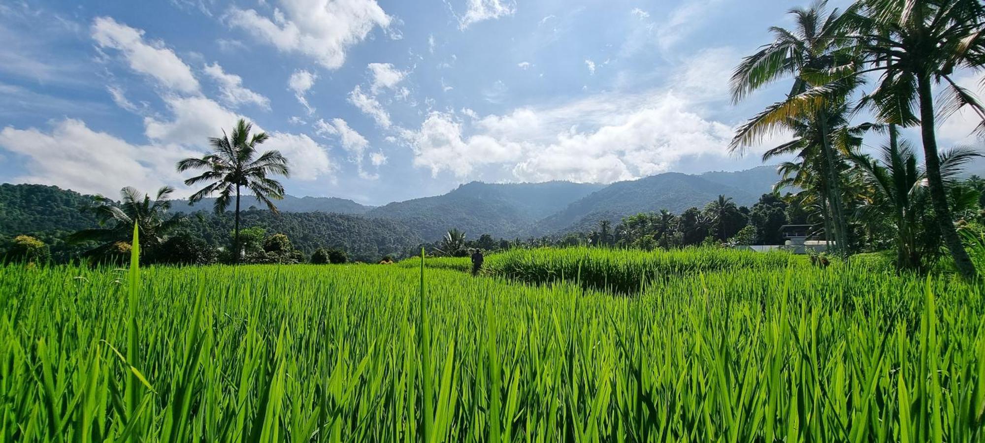 Utopiaku - Munduk Highlands Villa Esterno foto