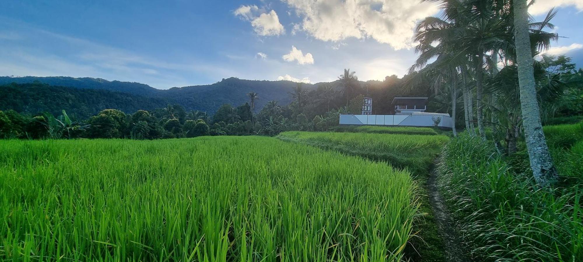 Utopiaku - Munduk Highlands Villa Esterno foto