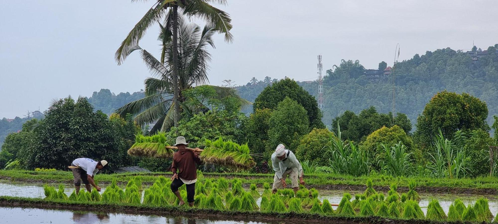 Utopiaku - Munduk Highlands Villa Esterno foto