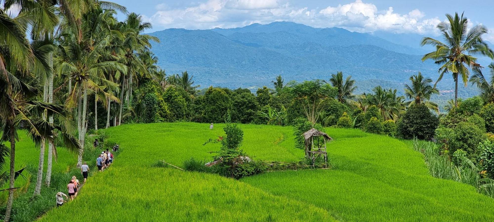 Utopiaku - Munduk Highlands Villa Esterno foto