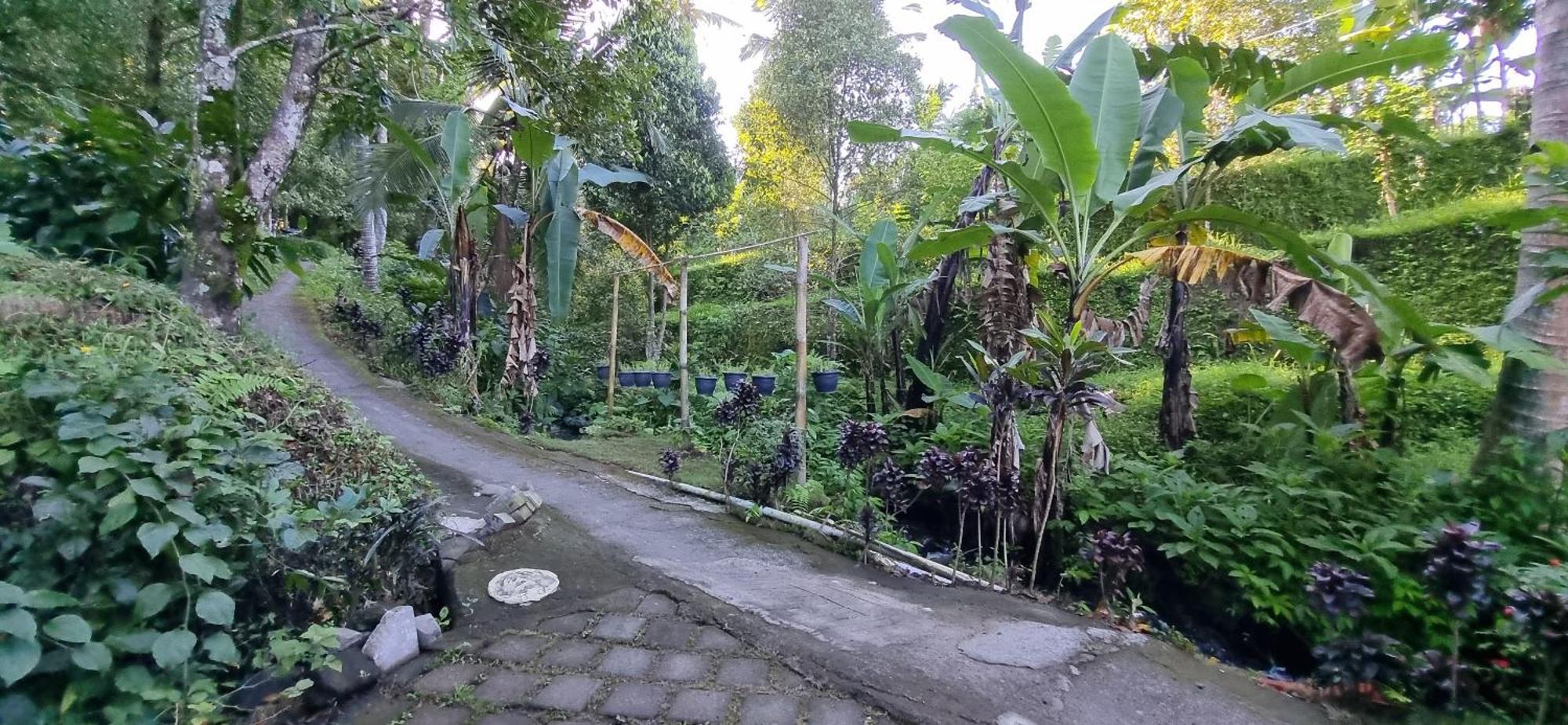 Utopiaku - Munduk Highlands Villa Esterno foto